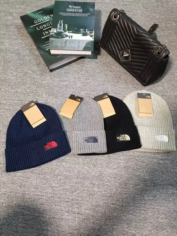 The North Face hat dx (648)